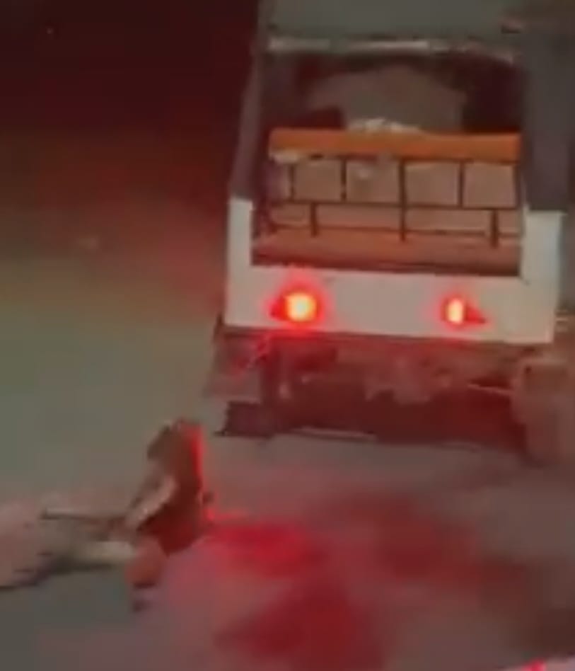 सड़क पर फिर दिखा पशु क्रूरता का घिनौना चेहरा: कुत्‍ते को ई ऑटो में बांधकर दूर तक घसीटा