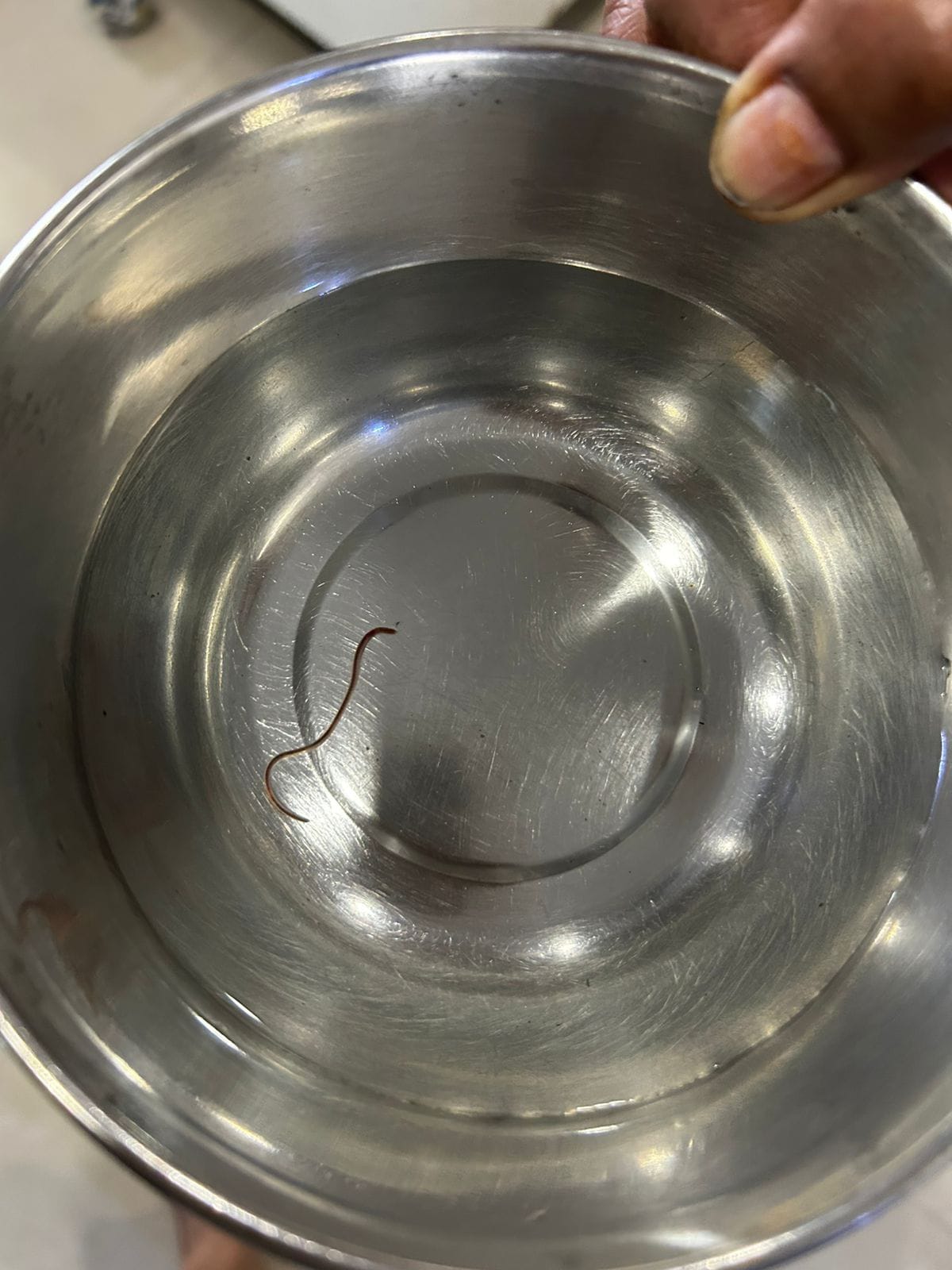 श्री राधा स्‍काई गार्डेन सोसायटी के पानी में निकला कीड़ा: सोसायटी के लोगों को सता रहा बीमार होने का डर