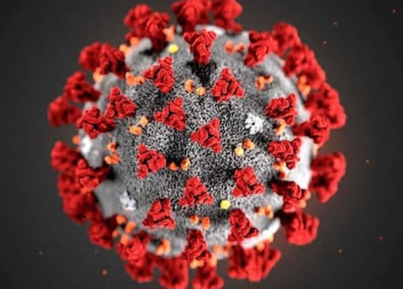 कोरोना ने फिर दी दस्‍तक, मरीजों की संख्‍या हुई 15: होम आइसोलेशन में चल रहा सभी का इलाज