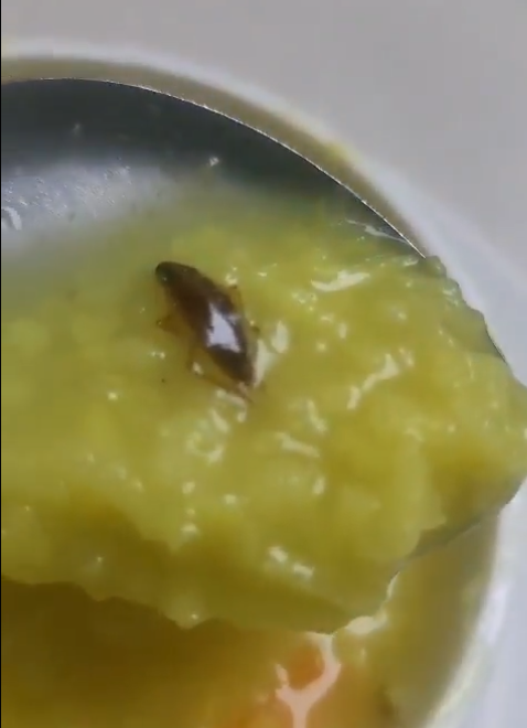 फोर्टिस अस्‍पताल में घोर लापरवाही का मामला आया सामने : मरीज को दिए गए खाने में निकला कॉकरोच