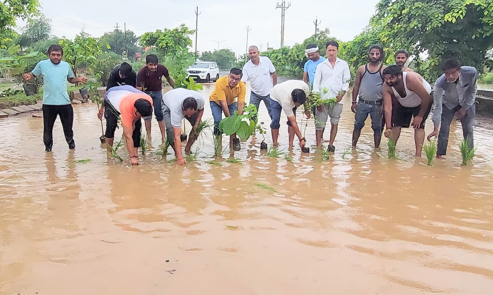 …और ग्रामीणों ने सड़क पर ही लगा दिया पौधा: टूटी सड़क पर भर गया पानी तो पौधा लगा जताया विरोध