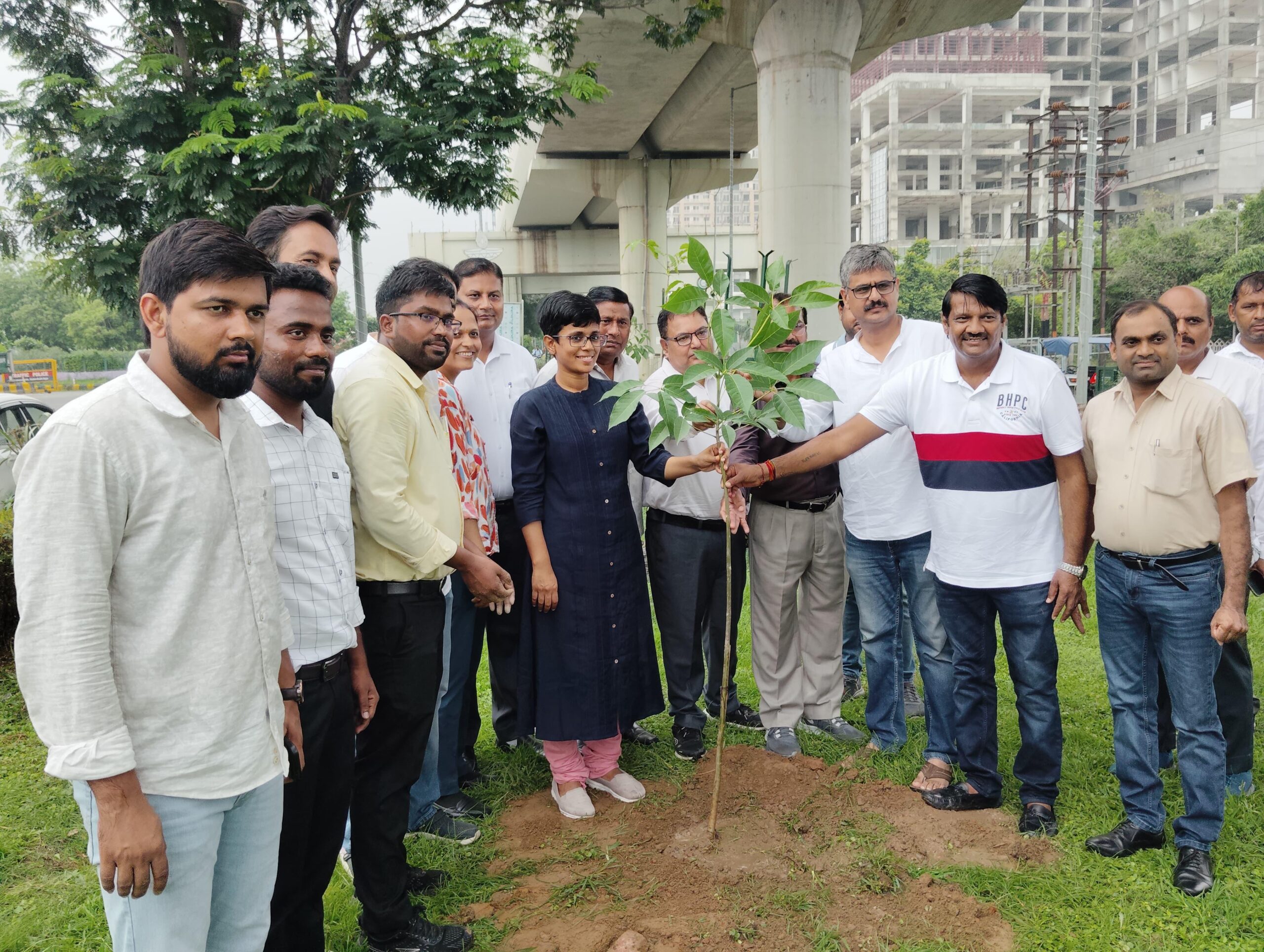 जल्‍द ही गुलाबी नजर आएगा विप्रो गोलचक्‍कर : प्राधिकरण ने लगाए टैबेबुइया रोजिया के 500 पौधे