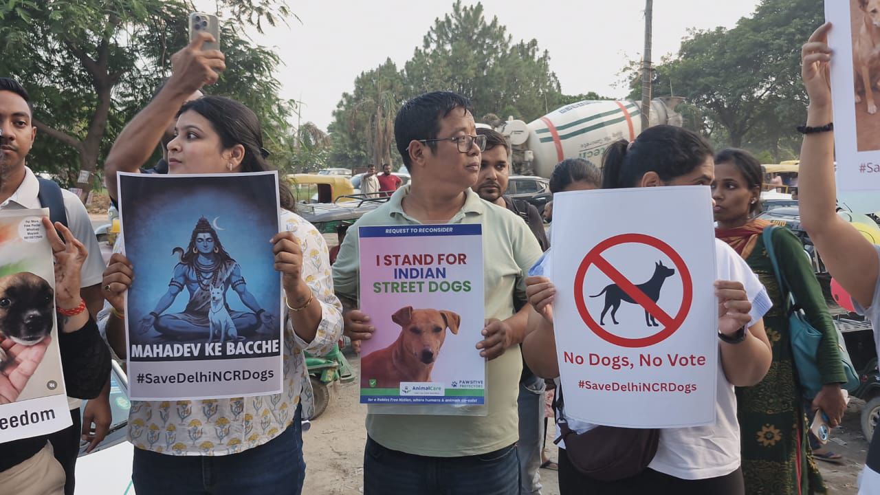 ग्रेटर नोएडा वेस्ट में ‘नो डॉग, नो वोट’ को लेकर सड़क पर उतरे लोग, सुप्रीम कोर्ट के फैसले के खिलाफ कुत्ता प्रेमियों का प्रदर्शन