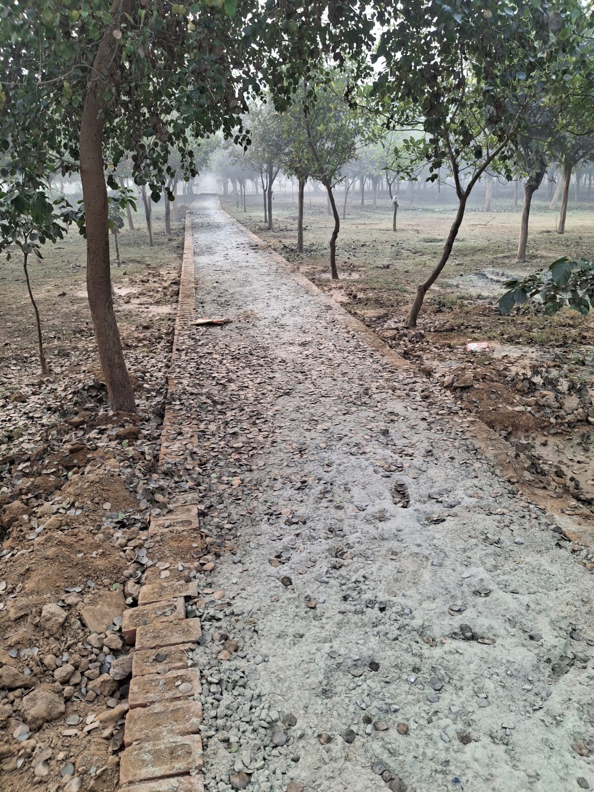 प्राधिकरण ने एनजीटी के नियमों का फ‍िर किया उल्‍लंघन:रोक के बावजूद ग्रीन बेल्‍ट में बनाया जा रहा है कंक्रीट पाथवे