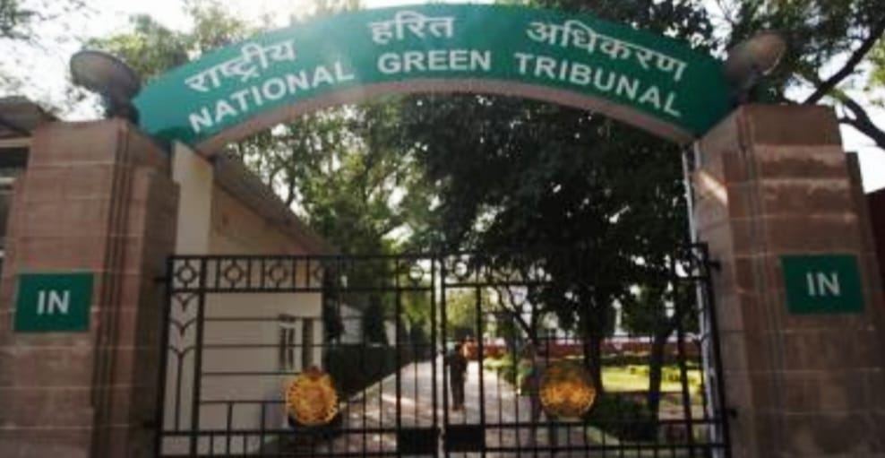 गांवों में सीवेज की गंभीर स्थिति पर एनजीटी ने दिया बड़ा आदेश:संयुक्‍त समिति गठित कर 10 सप्‍ताह में देनी होगी रिपोर्ट