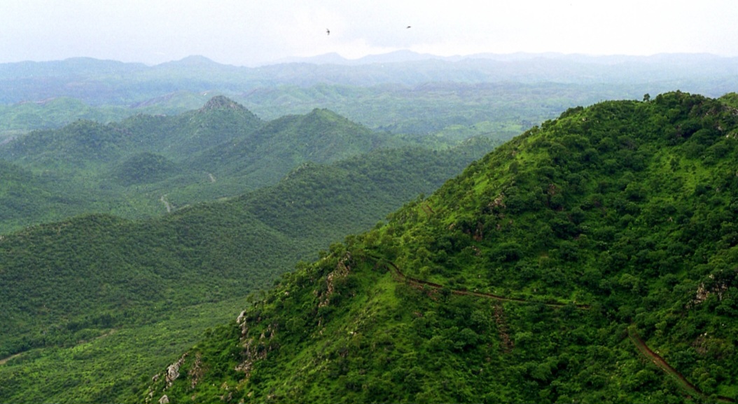 पर्यावरणविद् ने अरावली से होने वाले विनाश से किया सचेत:कहा पर्यावरण, जल के साथ ही जीवन पर भी खड़ा हो जाएगा संकट