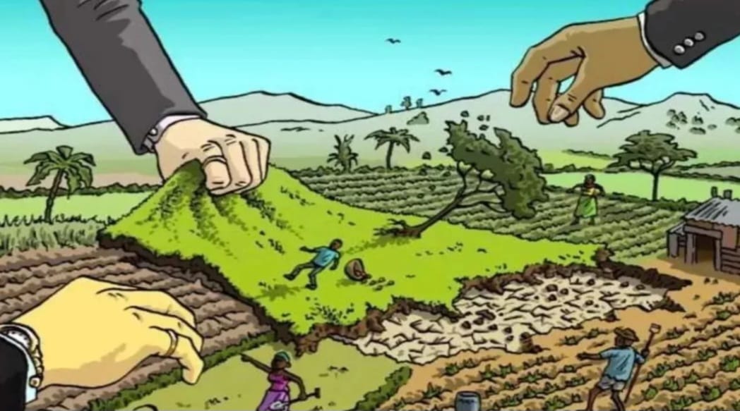 तिलपता में सरकारी रास्‍ते पर कालोनाइजर ने किया कब्‍जा:गांव के कई किसानों के खेत जाने का रास्‍ता हुआ बंद