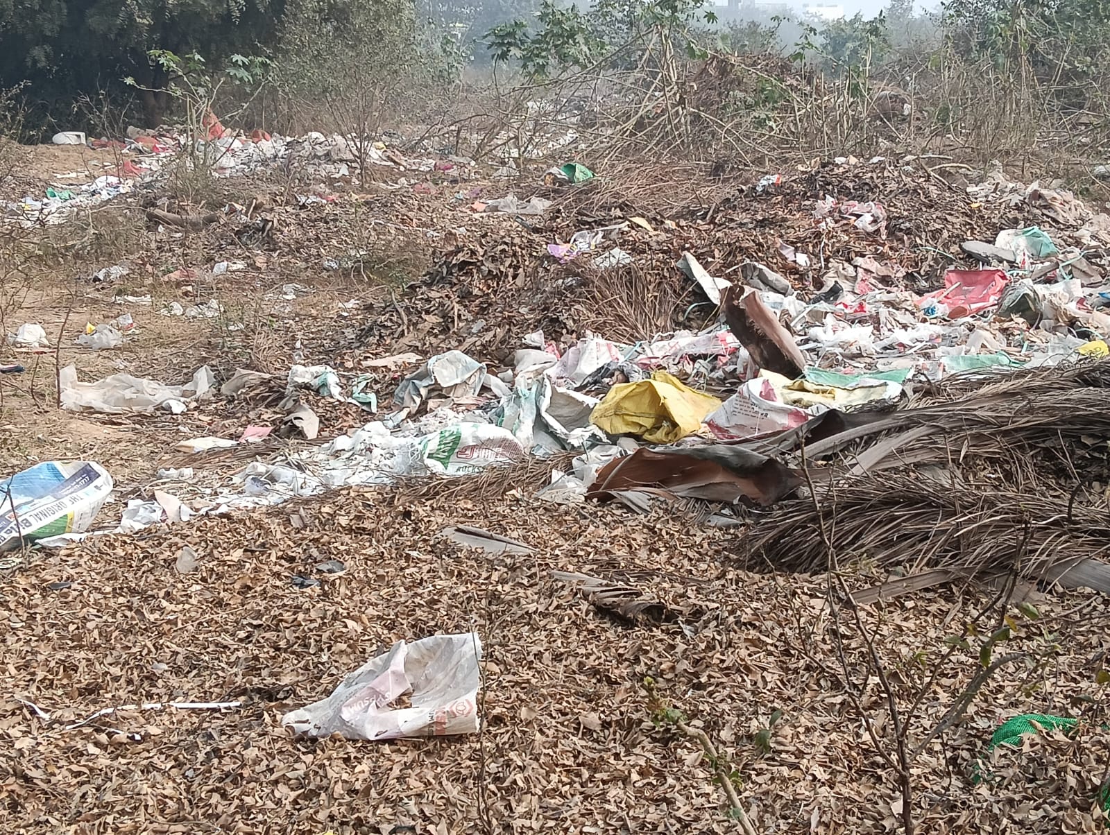 दो वर्ष से सफाई की मांग ग्रेटर नोएडा प्राधिकरण नहीं कर रहा पूरी : ओमिक्रान-3 निवासियों के लिए परेशानी बना सेक्‍टर का खाली प्‍लाट