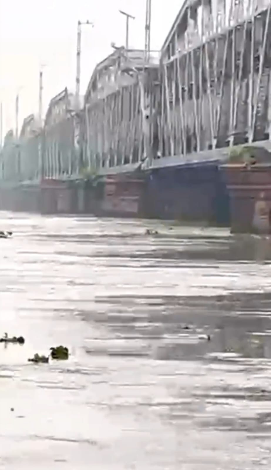डूब क्षेत्र में बाढ़ का फ‍िर मंडराने लगा खतरा:हथिनी कुंड बैराज से छोड़ा गया पानी