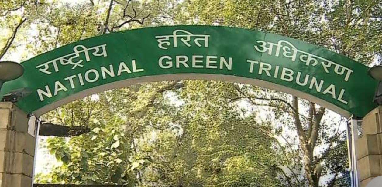 पेड़ों के आसपास कंक्रीट हटाने में अनियमितता पर NGT सख्त, नोएडा CEO को कार्रवाई के निर्देश, दो माह में देनी होगी ATR