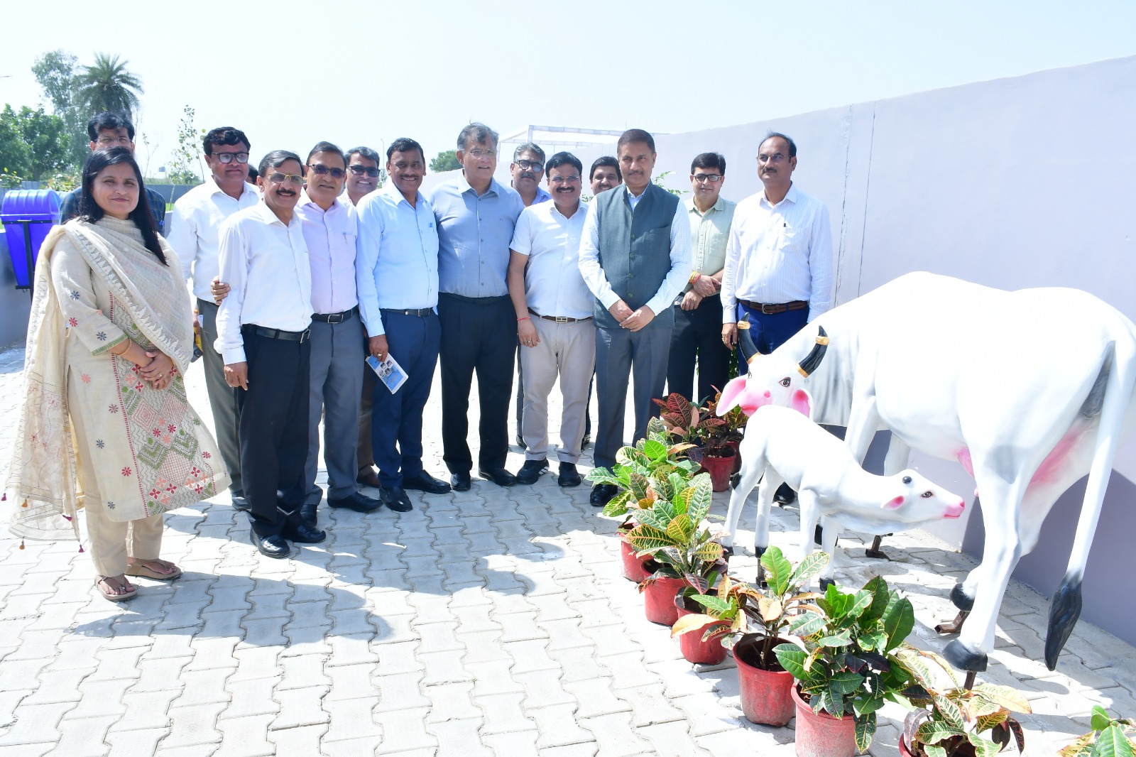 गौशाला में प्राधिकरण ने लगवाए 5000 पौधे:गोबर से बनाई जाएगी खाद व अगरबत्‍ती